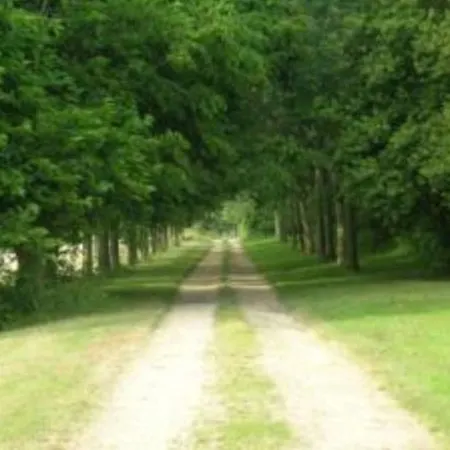 Chateau Les Pericots *
